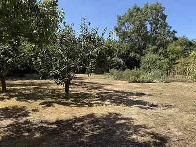 Maison neuve, 123 m²