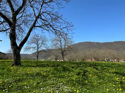 Terrain à bâtir, 1 052 m²