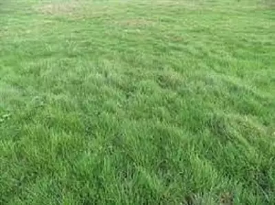 Terrain à bâtir, 319 m²