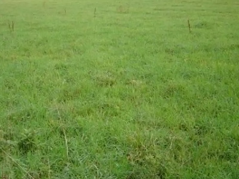 Terrain à bâtir, 1 000 m² - Montmerrei (61570)