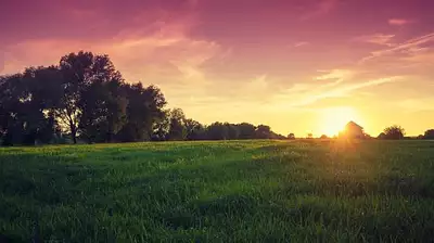 Maison neuve, 80 m²