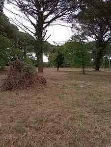 Terrain à bâtir, 950 m²