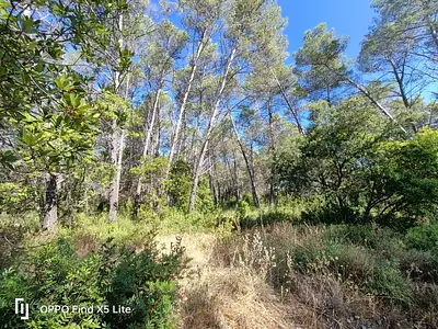 Maison neuve, 143 m²