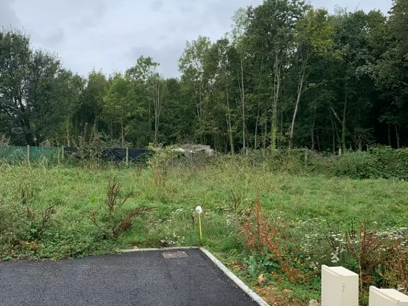 Terrain à bâtir, 321 m² - Baulne (91590)