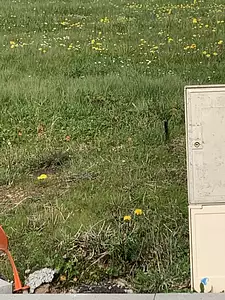 Maison neuve, 90 m²