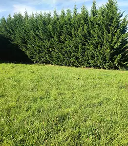 Maison neuve, 100 m²