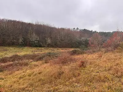 Maison neuve, 127 m²