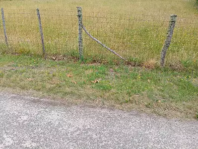 Terrain à bâtir, 1 000 m²