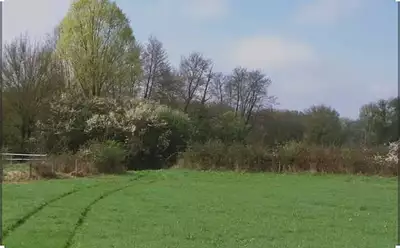 Maison neuve, 90 m²