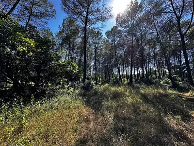 Maison neuve, 120 m²