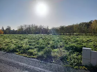 Terrain à bâtir, 351 m²