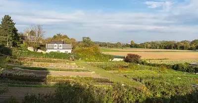 Les Terrasses du Chateau