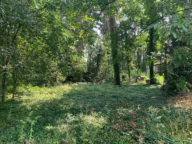 Terrain à bâtir, 550 m² - Fareins (01480)