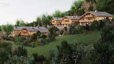LES CHALETS DE JAYSINIA
