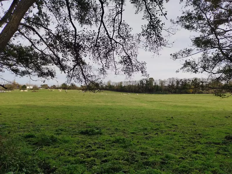 Terrain à bâtir, 540 m² - Villers-sur-Mer (14640)