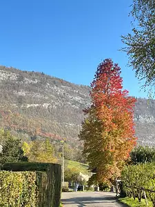 Terrain à bâtir, 776 m²