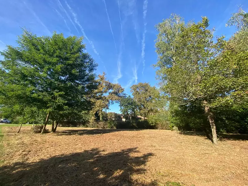 Terrain à bâtir, 1 348 m² - Bazas (33430)