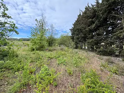 Terrain à bâtir, 893 m²