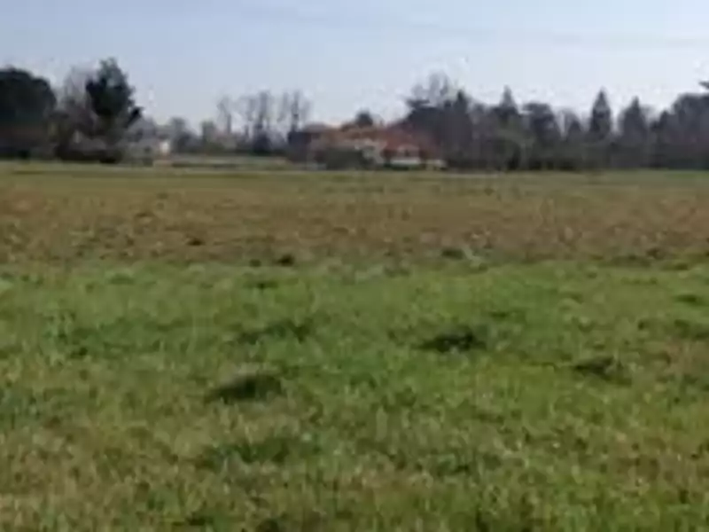 Maison neuve, 109 m² - Saint-Yzan-de-Soudiac (33920)
