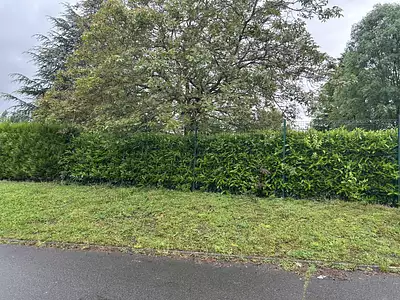 Terrain à bâtir, 531 m²