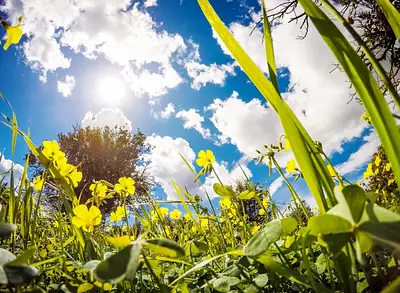 Maison neuve, 114 m²