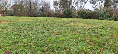 Terrain à bâtir, 930 m²