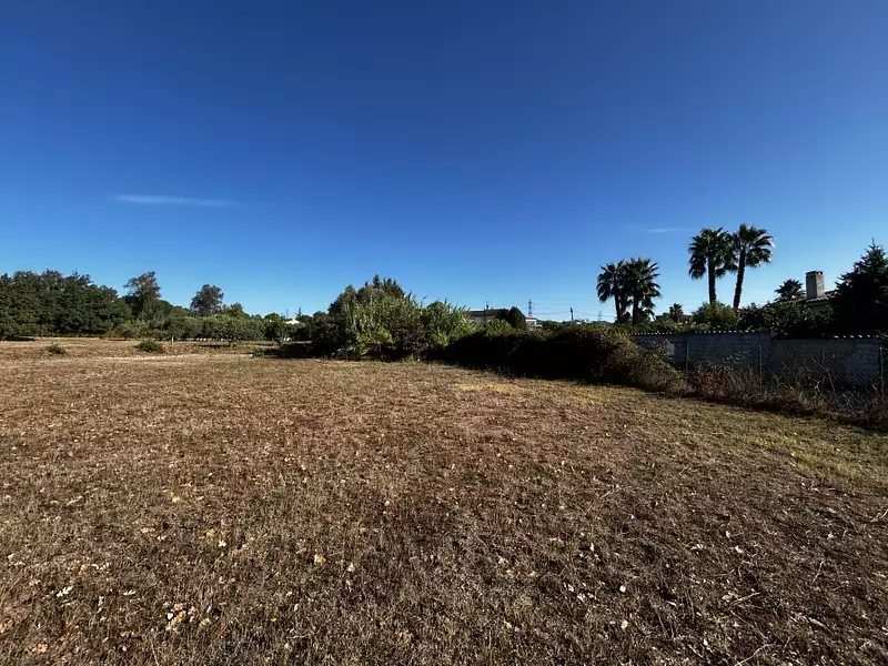 Maison neuve, 119 m² - Puget-sur-Argens (83480)
