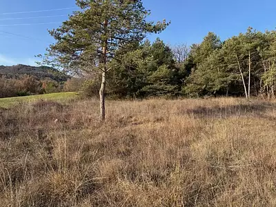 Terrain à bâtir, 1 142 m²