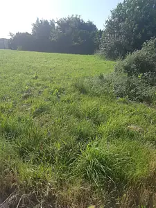 Terrain à bâtir, 1 400 m²