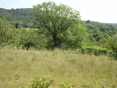 Maison neuve, 81 m²