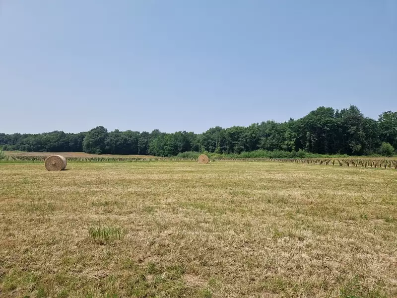 Terrain à bâtir, 1 092 m² - Chérac (17610)