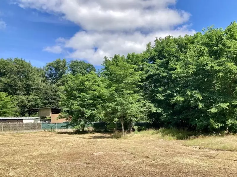 Terrain à bâtir, 502 m² - Le Taillan-Médoc (33320)