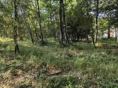 Terrain à bâtir, 717 m²