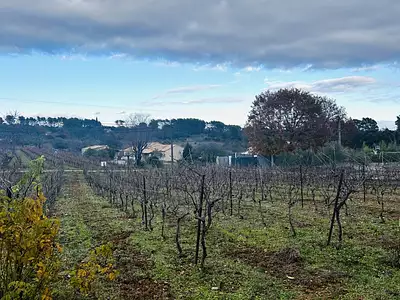 Maison neuve, 83 m²