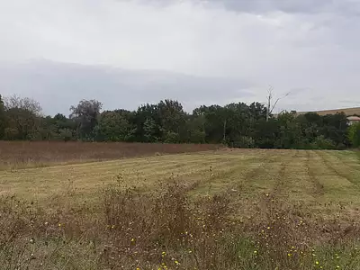 Terrain à bâtir, 900 m²