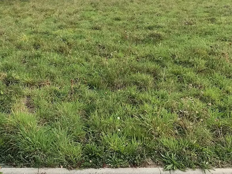 Terrain à bâtir, 700 m² - Juvigny-sous-Andaine (61140)