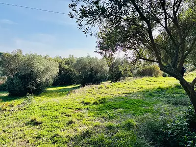 Terrain à bâtir, 790 m²