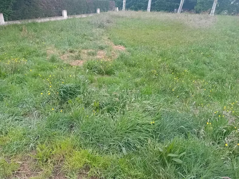 Terrain à bâtir, 800 m² - La Teste-de-Buch (33260)