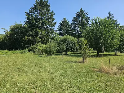 Maison neuve, 90 m²