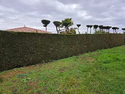 Terrain à bâtir, 430 m²