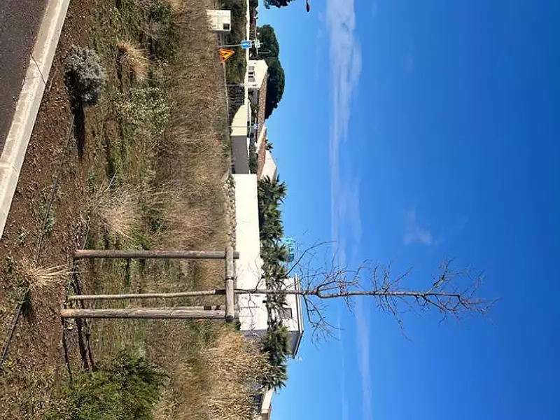 Terrain à bâtir, 320 m² - Saint-Thibéry (34630)