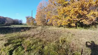 Maison neuve, 80 m²