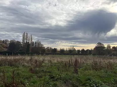 Terrain à bâtir, 1 240 m²