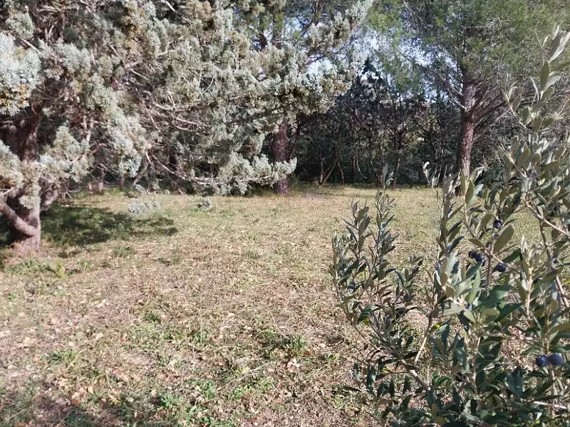 Maison neuve, 96 m² - Roquebrune-sur-Argens (83520)