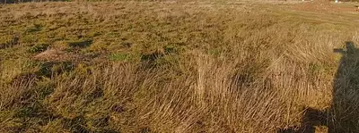 Terrain à bâtir, 400 m²