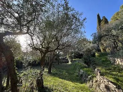Terrain à bâtir, 1 799 m²