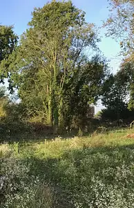 Maison neuve, 110 m²