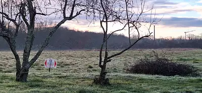 Terrain à bâtir, 499 m²