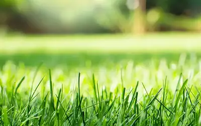 Maison neuve, 136 m²