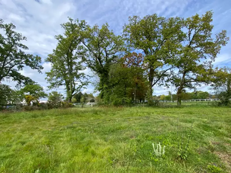 Maison neuve, 91 m² - Saint-Martin-d'Abbat (45110)